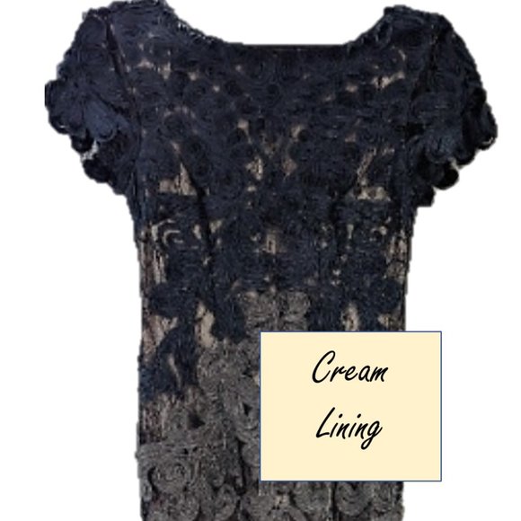 Designer JS Collections Lace Midi Evening Dress & Matching Earrings - Picture 5 of 14